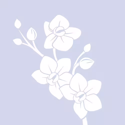 Escort/Massage Amber Lake / Candy Delight / Almanda in Chicago, IL